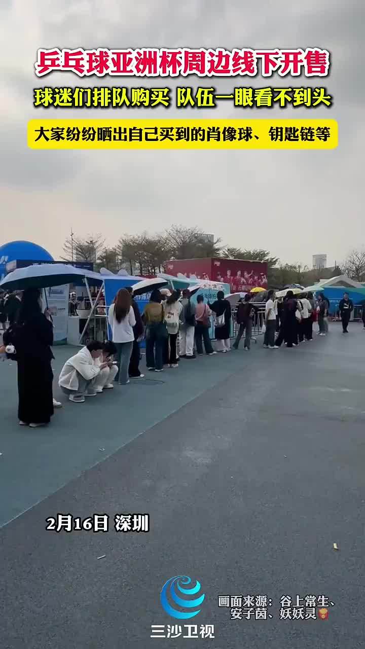 整体实力